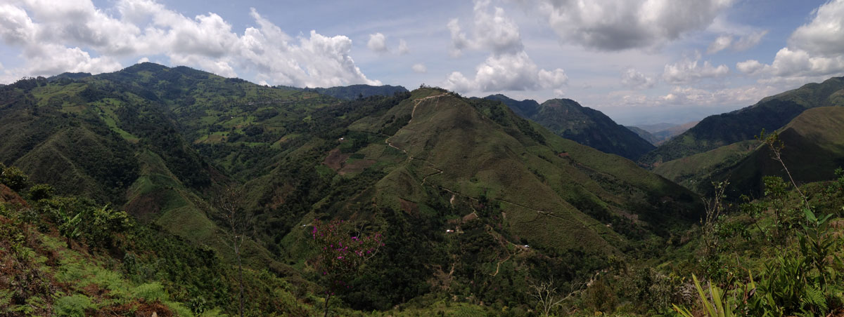 Coffee Landscape Peru