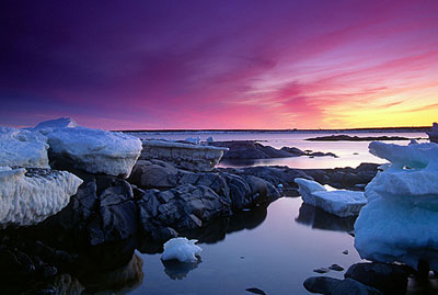arctic-sunrise-trevor-bauer.jpg